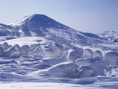 Snow_Winter_Scene_winter_snow_wallpapers_MIL50066_wallcoo.com