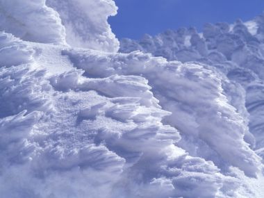 Snow_Winter_Scene_winter_snow_wallpapers_MIL50068_wallcoo.com