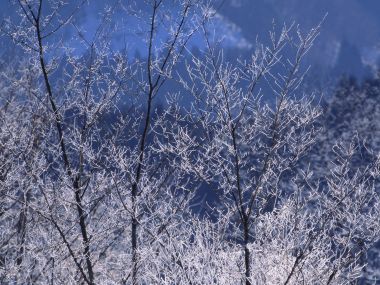 Snow_Winter_Scene_winter_snow_wallpapers_MIL50071_wallcoo.com