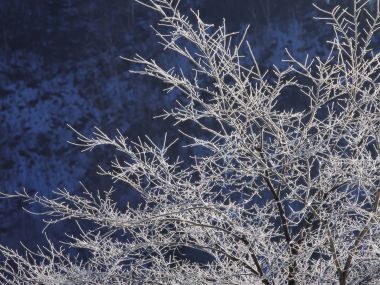 Snow_Winter_Scene_winter_snow_wallpapers_MIL50072_wallcoo.com