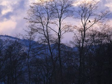 Snow_Winter_Scene_winter_snow_wallpapers_MIL50080_wallcoo.com