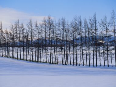 Snow_Winter_Scene_winter_snow_wallpapers_MIL50084_wallcoo.com