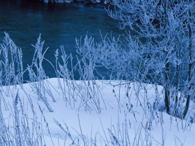 Snow_Winter_Scene_winter_snow_wallpapers_MIL50093_wallcoo.com