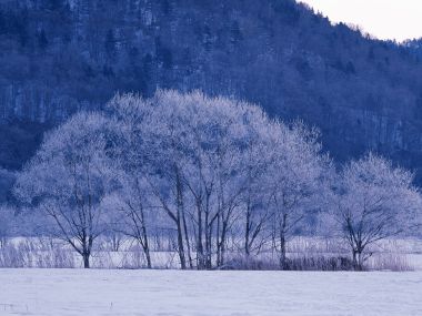 Snow_Winter_Scene_winter_snow_wallpapers_MIL50094_wallcoo.com