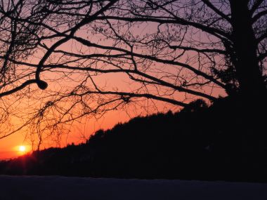 Snow_Winter_Scene_winter_snow_wallpapers_MIL50100_wallcoo.com