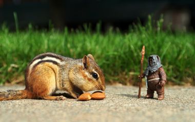 Star War Toys Photos 3004306048 C8386da002 O
