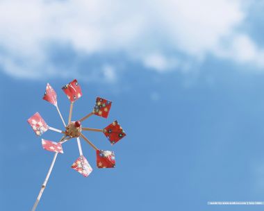 still_life_photography_HB067_350A