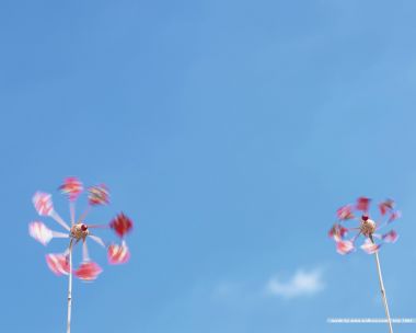 still_life_photography_HB068_350A