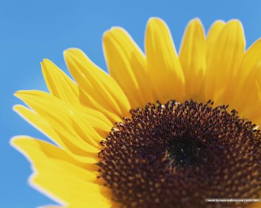 still_life_photography_HB077_350A