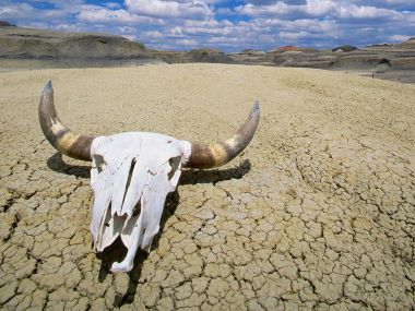 Summer_Heat_Death_Valley_National_Park_California
