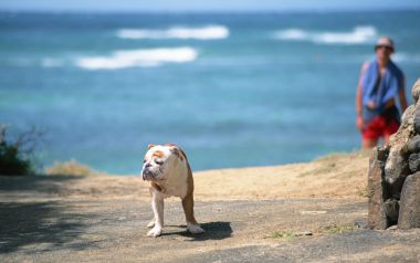 summer_relaxation_JD061