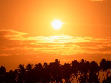 Tahiti_Travel_01067