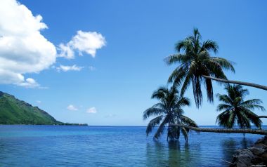 Tahiti_Travel_02034