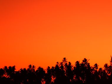 Tahiti_Travel_02060