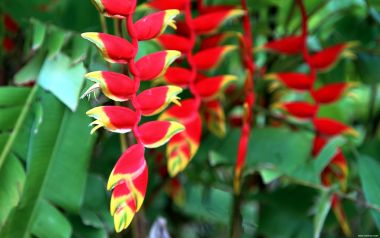 Tahiti_Travel_03014