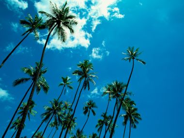 Tahiti_Travel_03031