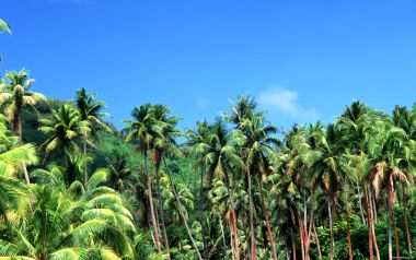 Tahiti_Travel_03038