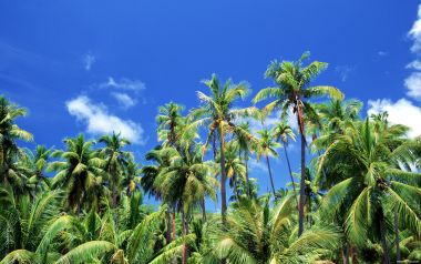 Tahiti_Travel_03039