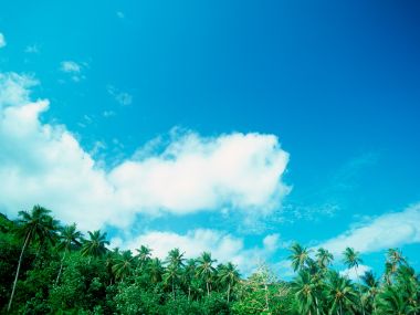 Tahiti_Travel_03044