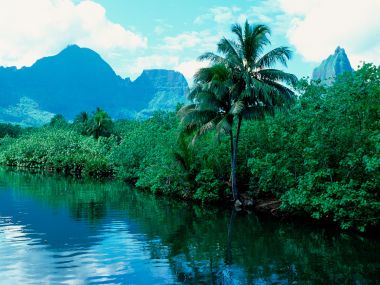 Tahiti_Travel_03045