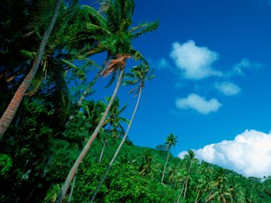Tahiti_Travel_03050