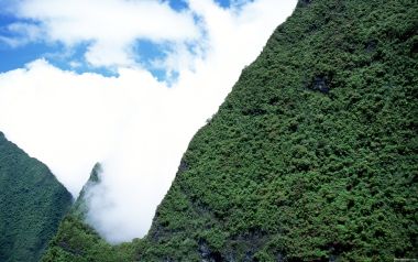 Tahiti_Travel_03059