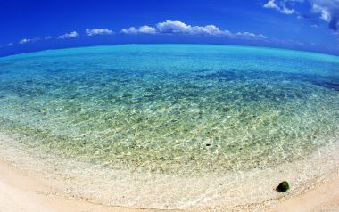 Tahiti01037