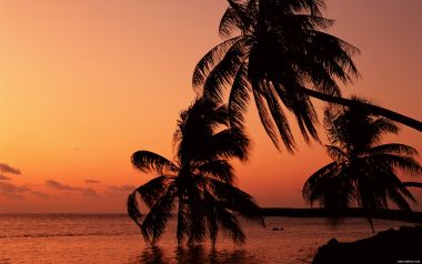 Tahiti02031
