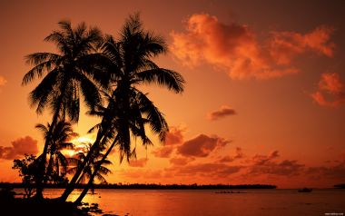 Tahiti02032