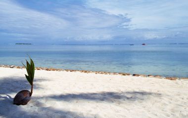 Tahiti03013