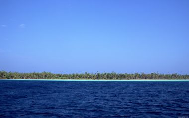 Tahiti03046