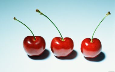 Three cherries with stems, close-up