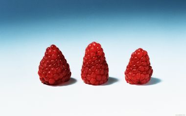 Three raspberries, close-up