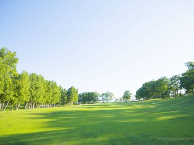 Trees_in_Green_field_and_blue_sky_JA101_photo