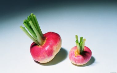 Turnips, close-up