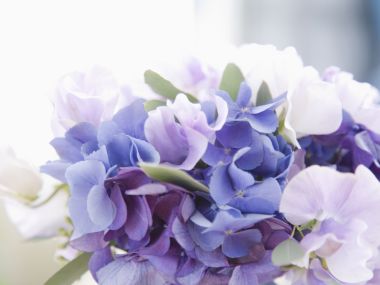 [wallcoo_com]_0HR100_350A_Wedding_Fowers