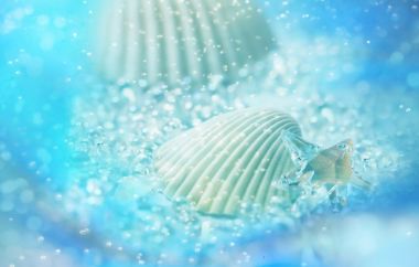 Wallcoo Com 1 Cg Seasons Summer Hs052 21