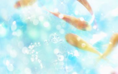 Wallcoo Com 1 Cg Seasons Summer Hs110 31
