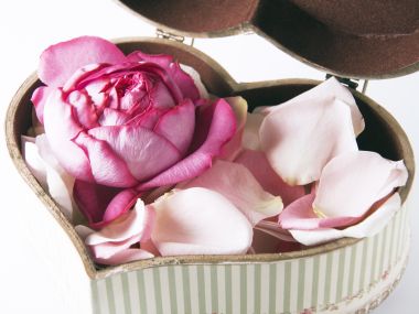 [wallcoo_com]_1HR031_350A_Wedding_Fowers