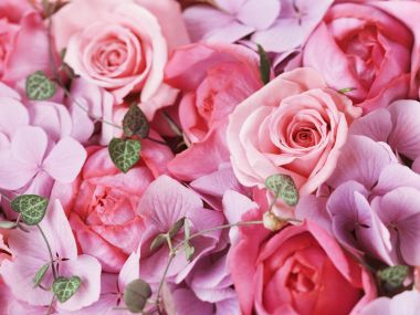 [wallcoo_com]_2HR040_350A_Wedding_Fowers