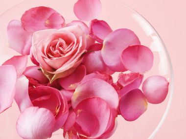 [wallcoo_com]_2HR042_350A_Wedding_Fowers