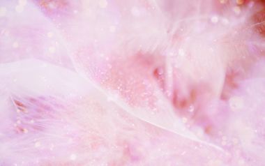 [wallcoo_com]_CG_seasons_autumn_HS135_60