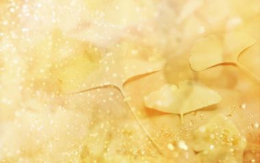 [wallcoo_com]_CG_seasons_autumn_HS140_61