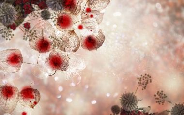 [wallcoo_com]_CG_seasons_autumn_HS141_62