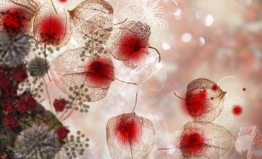 [wallcoo_com]_CG_seasons_autumn_HS141_63