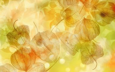[wallcoo_com]_CG_seasons_autumn_HS142_64