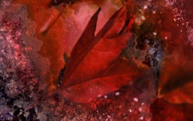 [wallcoo_com]_CG_seasons_autumn_HS145_68