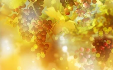 [wallcoo_com]_CG_seasons_autumn_HS149_73