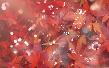 [wallcoo_com]_CG_seasons_autumn_HS151_75