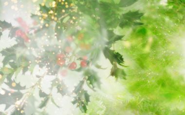 [wallcoo_com]_CG_seasons_winter_Christmas_HS163_87
